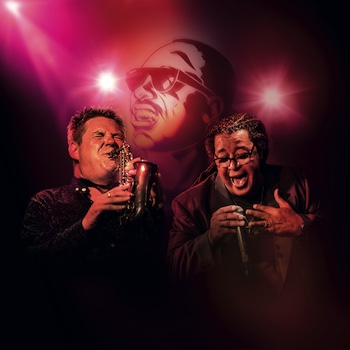 The Music of Stevie Wonder